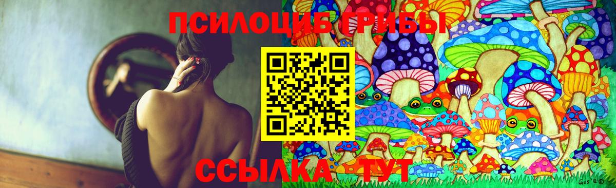 Губаха  Галлюциногенные грибы прущие грибы  Вход с VPN  Галлюциногенные грибы прущие грибы 