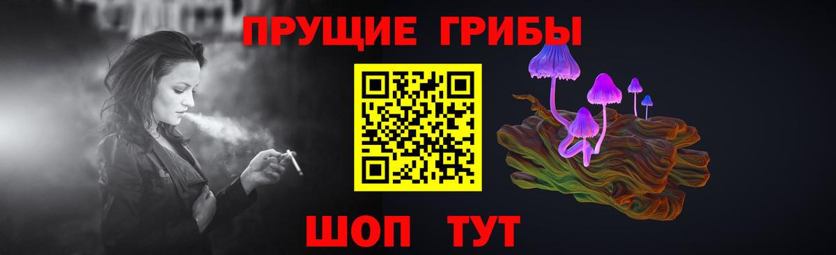 Псилоцибиновые грибы мухоморы Губаха